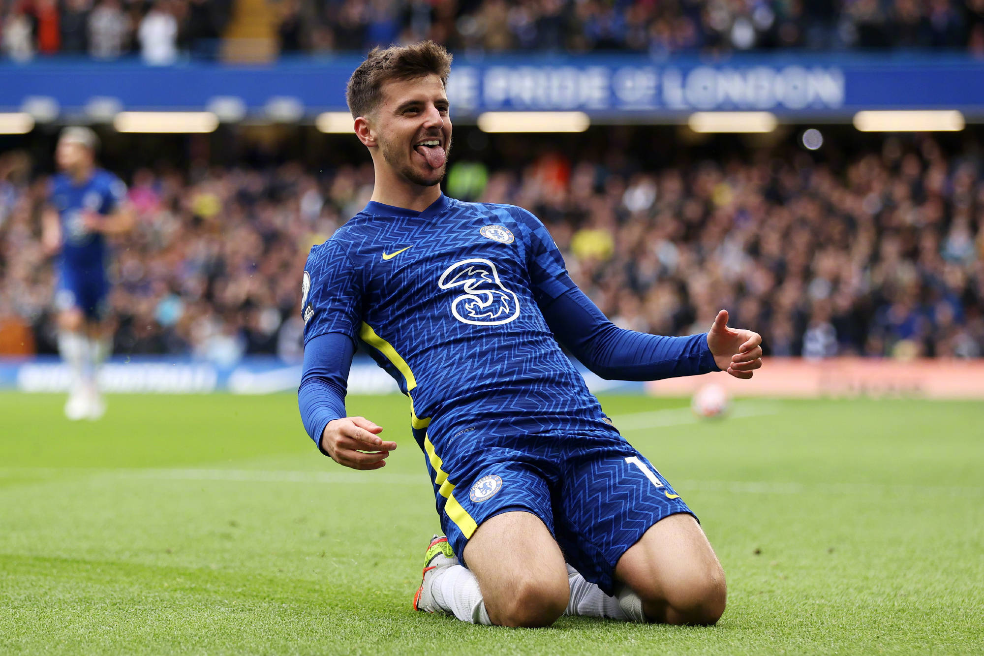 趋势高度契 趋势高度契